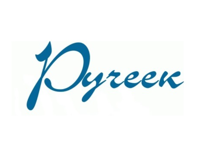 Логотип лагеря Ручеек